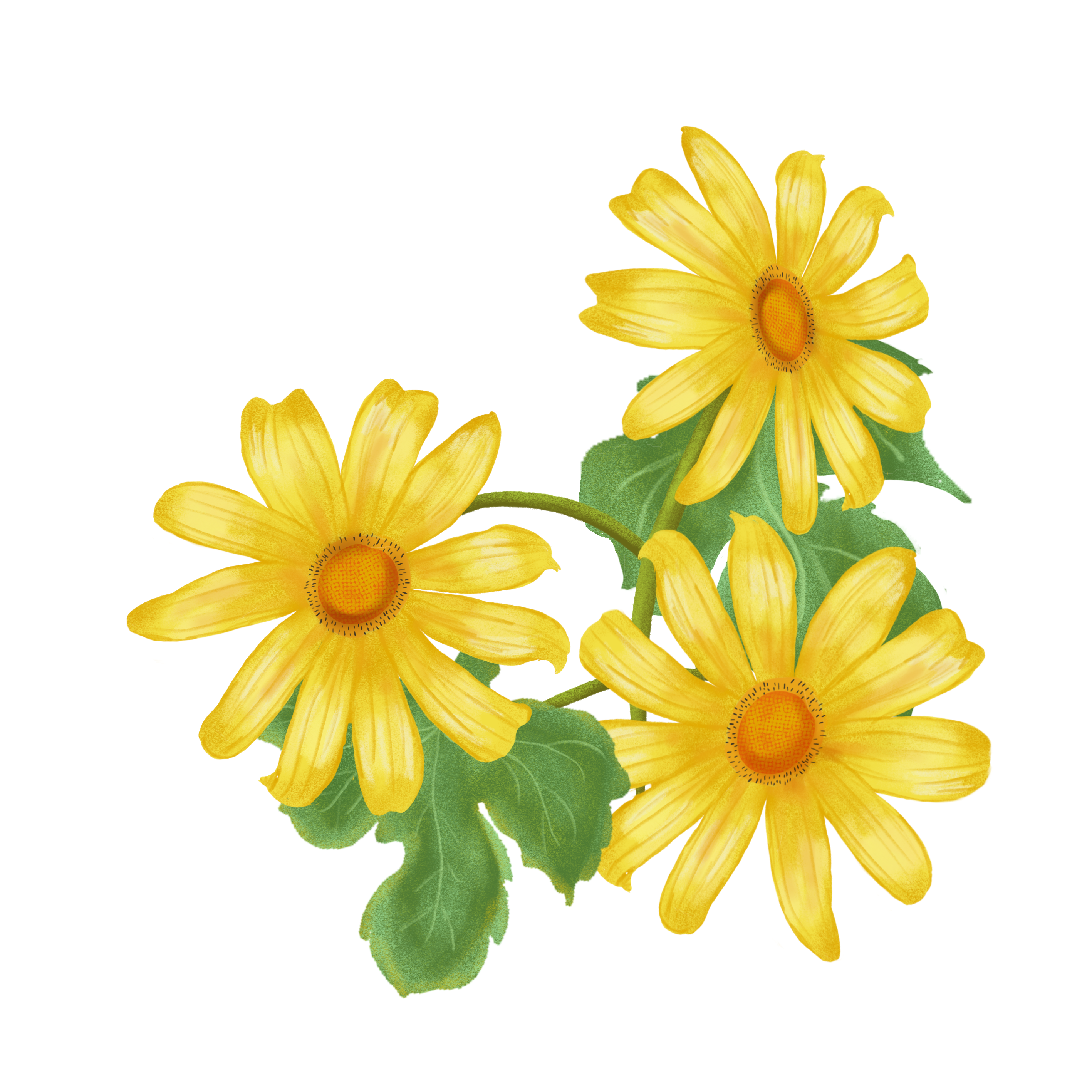 Butter Honey – The Velvety Embrace of the Acahual